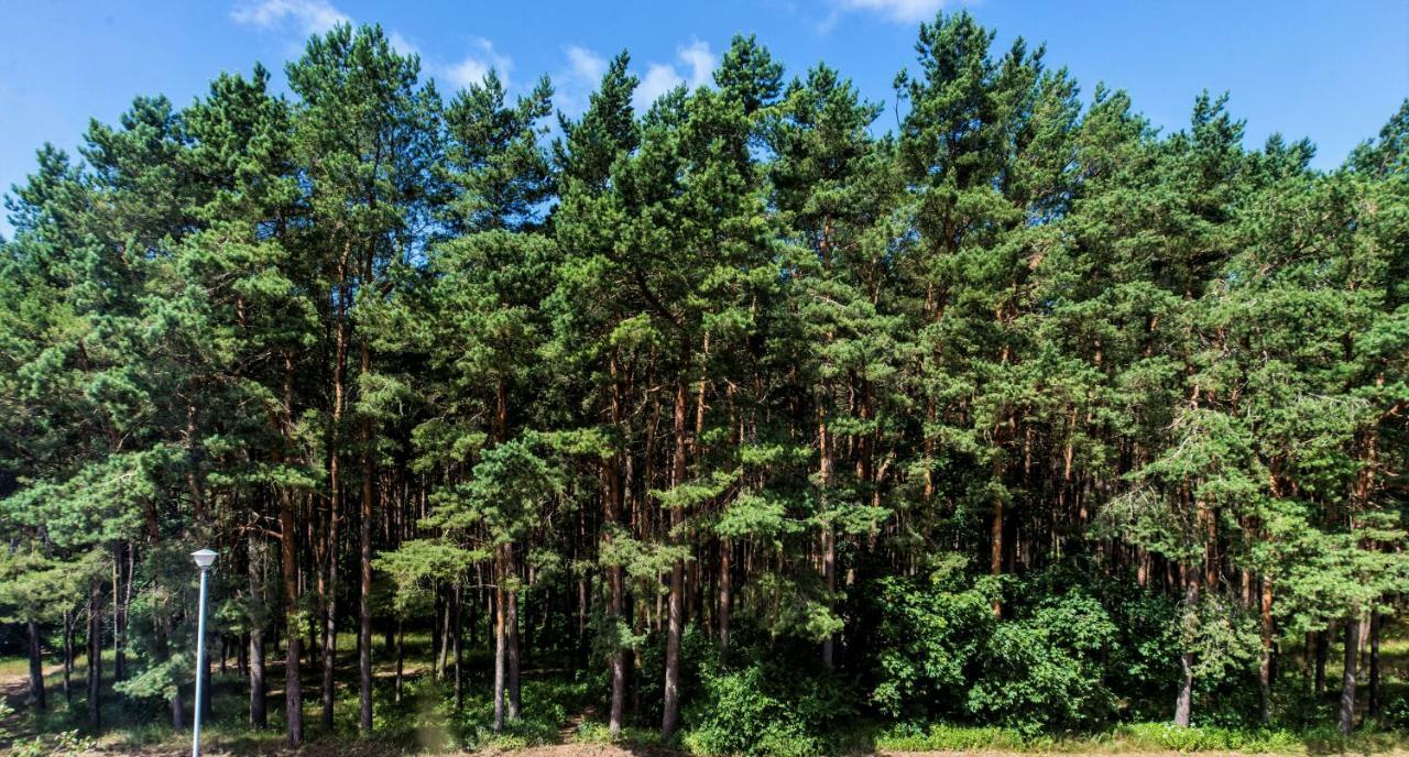Neringa Guest House Połąga Zewnętrze zdjęcie